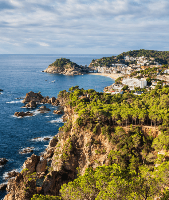 Blog - Solmar