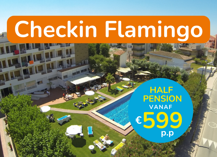 Checkin Flamingo - Solmar