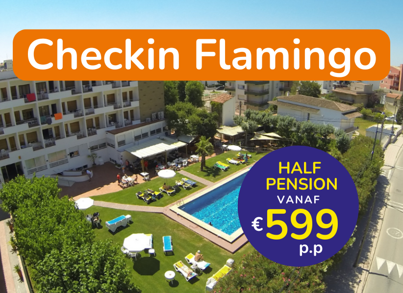 Checkin Flamingo - Solmar