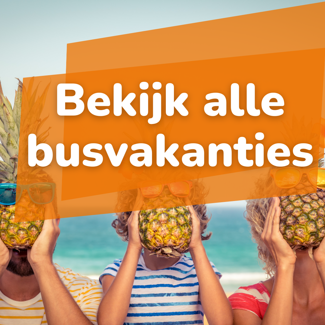 Bekijk alle busvakanties